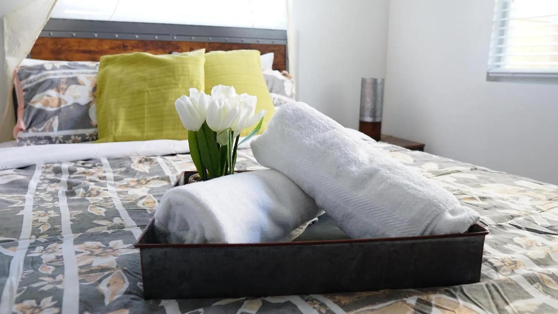 Mi Casa Es Tu Casa, Airport Suites Tampa United States